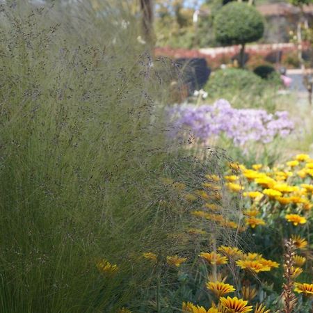 Les Jardins De Santa Giulia - Charmante Chambre D'Hote Porto-Vecchio  Exterior foto